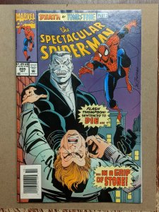 The Spectacular Spider-Man # 205 Marvel Comic Book Peter Parker Goblin YY12