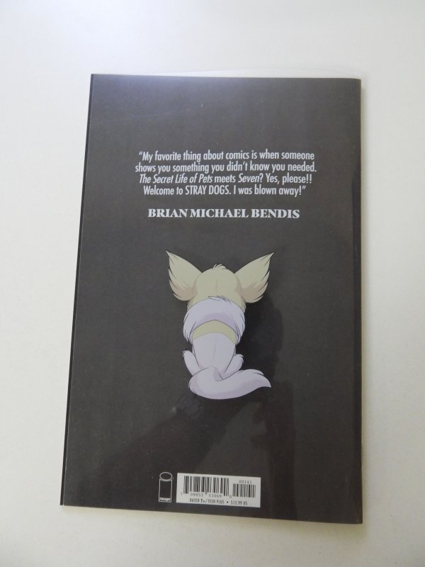 Stray Dogs #1 (2021) acetate variant NM- condition