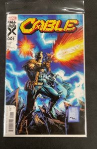 Cable #1