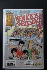 New Kids On The Block: NKOTB #2 Direct Edition (1991)