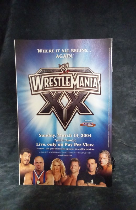 The Flash #208 (2004)