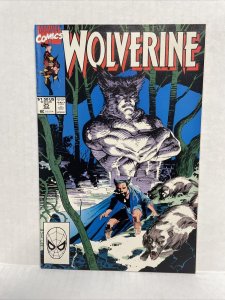 Wolverine #25