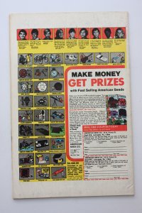 The Man Called Nova #24 (1979) Nova FN