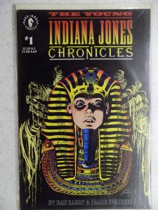 Young Indiana Jones Chronicles #1 (1992)