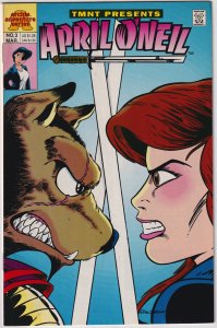 Teenage Mutant Ninja Turtles Present: April O'Neil #3 (1993)