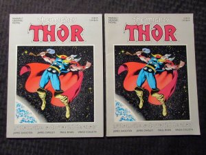 1987 THOR Whom The Gods Would Destroy LOT of 2 Marvel Graphic Novel FN+/FVF