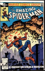 The Amazing Spider-Man #218 Direct Edition (1981) Spider-Man