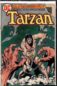 Edgar Rice Burroughs' Tarzan #224 (1973)