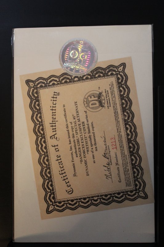 Danger Girl Special Dynamic Forces Exclusive Wetsuit Cover (2000) *Limited*