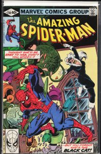 The Amazing Spider-Man #204 (1980) Spider-Man