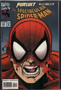 The Spectacular Spider-Man #211 (1994) Spider-Man