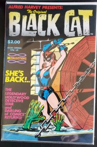 The Original Black Cat #1 (1988) Bondage Cover