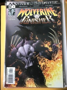 Wolverine/Punisher #4 (2004)