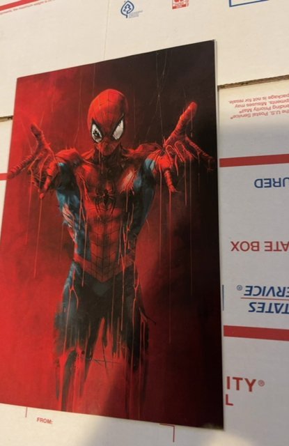 The Amazing Spider-Man #21 Tao Virgin Cover (2023)