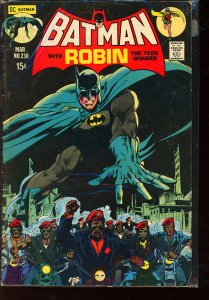 Batman with Robin #230