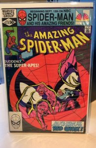 The Amazing Spider-Man #223 (1981) 8.0 VF