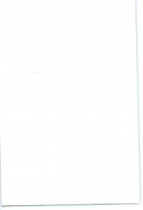 Invincible Iron Man #1 Marvel Collector Corps Variant 9.0 (our highest grade)