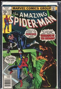 The Amazing Spider-Man #175 (1977) Spider-Man