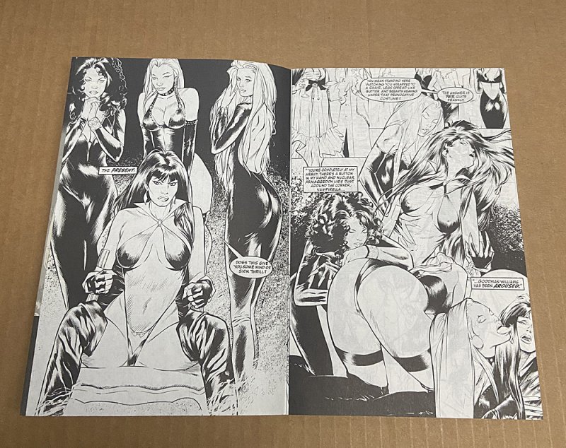 Vampirella Strikes #6 Ash Can Preview ( NM /  1996 )