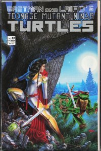 Teenage Mutant Ninja Turtles #13 (1988) [Key Issue]