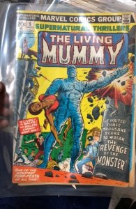 Supernatural Thrillers #5 (1973)