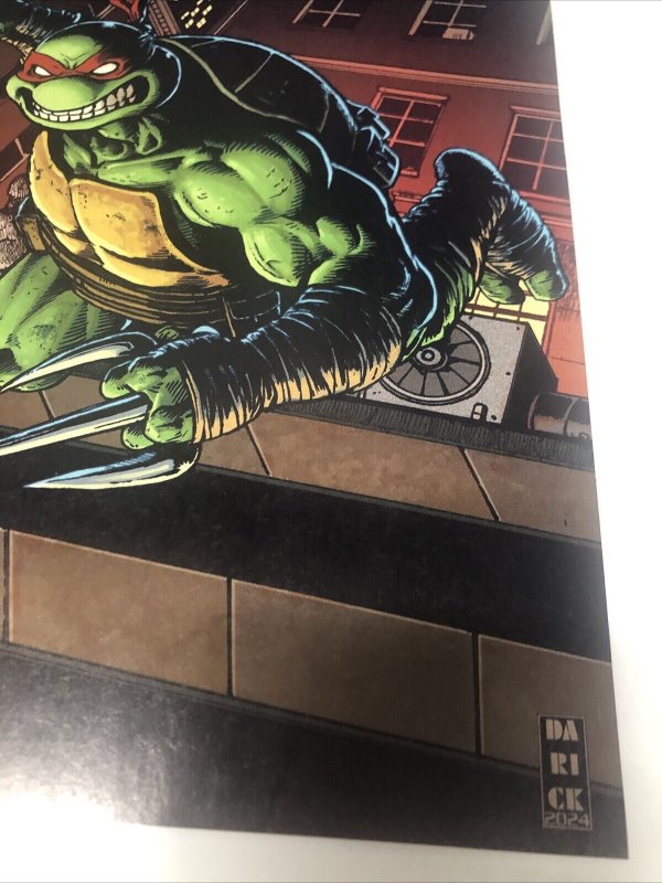 Teenage Mutant Ninja Turtels (NM) # 1 (2024)  Variant • IDW Publishing • Aaron
