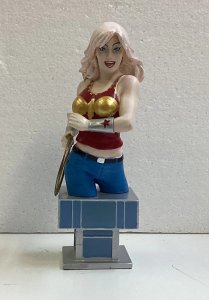 Women of the DC Univesre Series 2 Wonder Girl Bust 2851/3000 *Hair Faded*