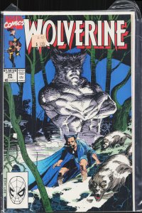 Wolverine #25 (1990) Wolverine