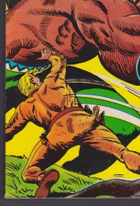 Tomahawk #114 Western FN- 5.5 DC Comic - Feb 1968 Bob Brown 