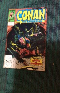 Conan the Barbarian #217 (1989) Alcala Inks! City Of Shadows!>High-Grade NM- Wow