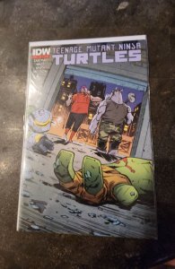 Teenage Mutant Ninja Turtles #44 (2015)