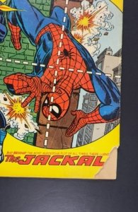 The Amazing Spider-Man #129 (1974) 1ST PUNISHER