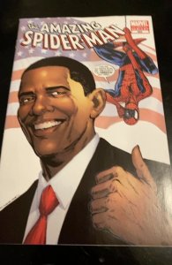 Spider-Man: Election Day  (2010)