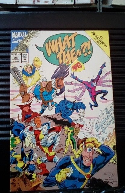 What The--?! #25 (1993)