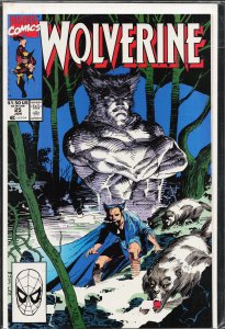 Wolverine #25 (1990) Wolverine