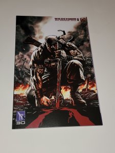 Wildstorm 30th Anniversary Special Lee Bermejo Variant NM