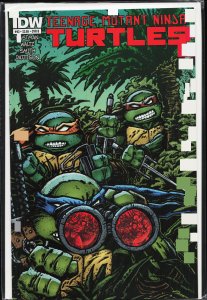 Teenage Mutant Ninja Turtles #43 Cover B (2015)