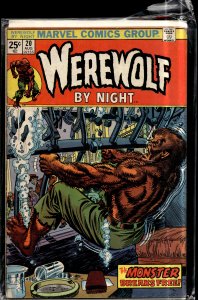 Werewolf by Night #20 (1974) Werewolf by Night