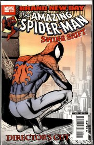 Spider-Man: Swing Shift Director's Cut (2008) Spider-Man
