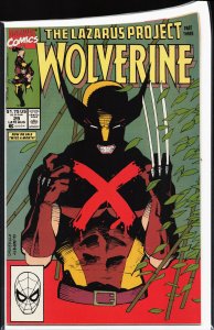 Wolverine #29 (1990) Wolverine