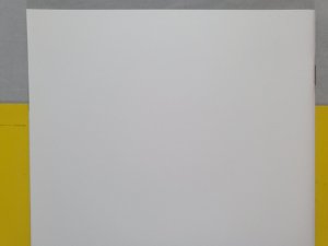 Walking Dead #192 Blank Sketch Variant 2019 Death Of Rick Grimes Image Comics