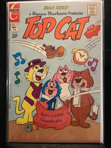 Top Cat #17