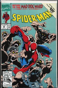 Spider-Man #29 (1992) Spider-Man
