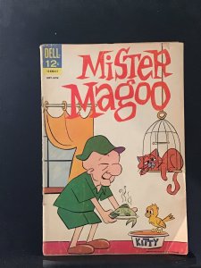 Mister Magoo #5