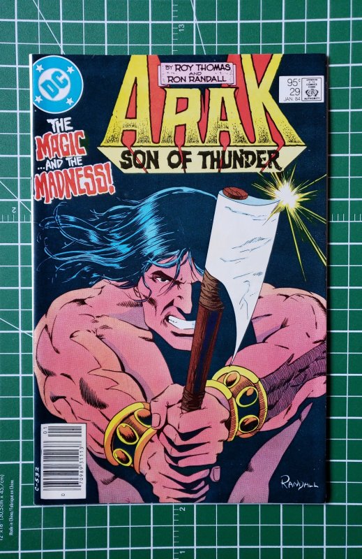 Arak, Son of Thunder #29 (1984)