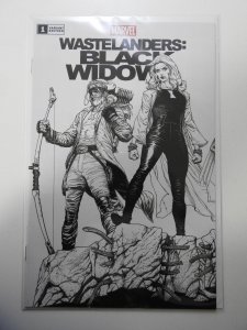Wastelanders: Black Widow #1 Variant Edition