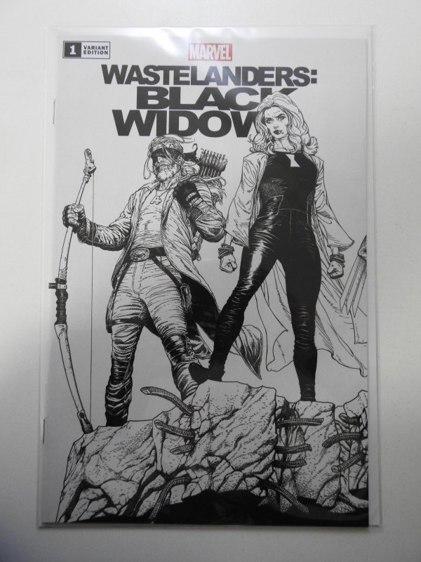 Wastelanders: Black Widow #1 Variant Edition