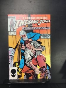 Indiana Jones and the Temple of Doom #2 (1984) nm