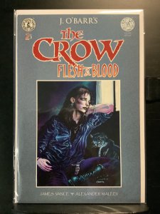 The Crow: Flesh and Blood #2 (1996)