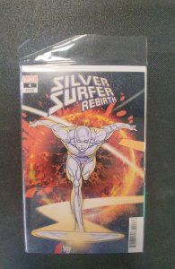 Silver Surfer Rebirth #4 Ferry Cover (2022)